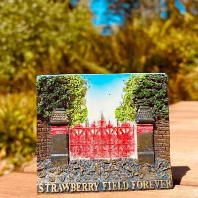 STRAWBERRY FIELD FOREVER MAG