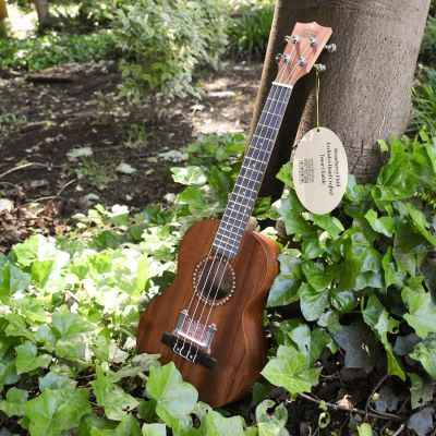 STRAWBERRY FIELD UKULELE