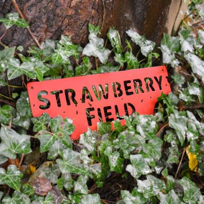 SF METAL LOGO SIGN