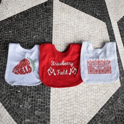 STRAWBERRY FIELD 3 PIECE BABY BIB SET